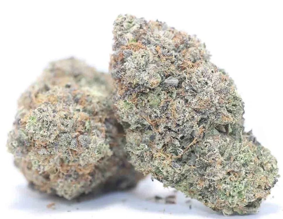 Sativa